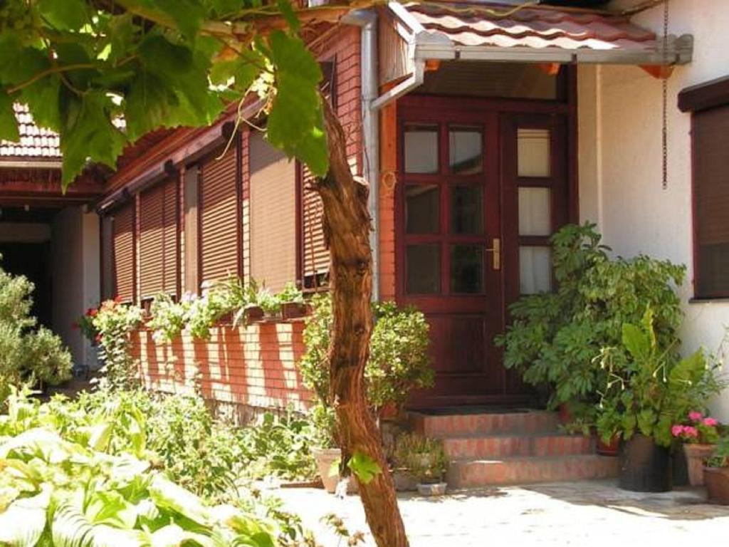 Sobe Gajic Σρέμσκι Καρλόβτσι Δωμάτιο φωτογραφία