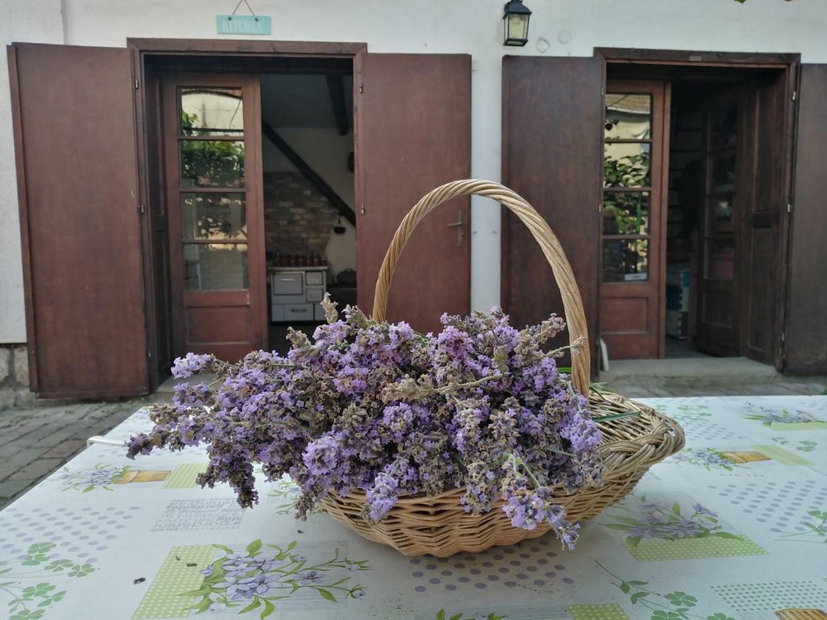 Sobe Gajic Σρέμσκι Καρλόβτσι Εξωτερικό φωτογραφία